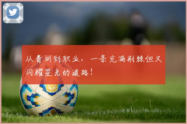 从青训到职业，一条充满荆棘但又闪耀星光的道路！