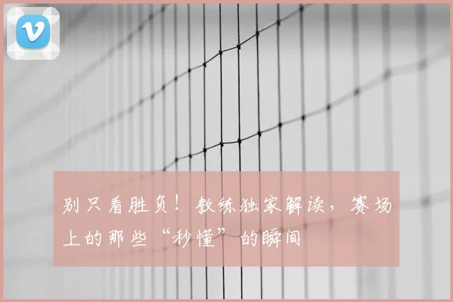 别只看胜负！教练独家解读，赛场上的那些“秒懂”的瞬间