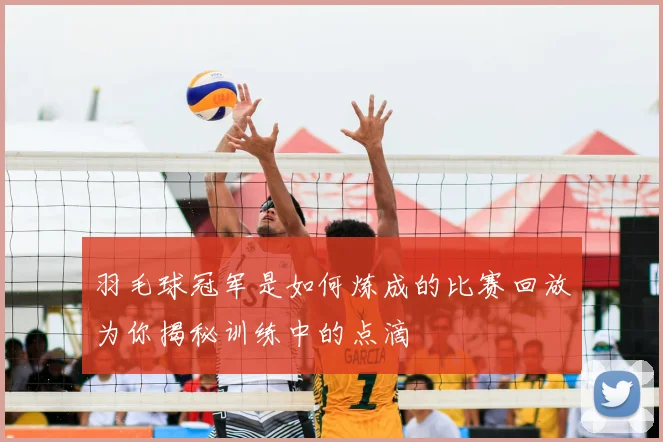 羽毛球冠军是如何炼成的比赛回放为你揭秘训练中的点滴