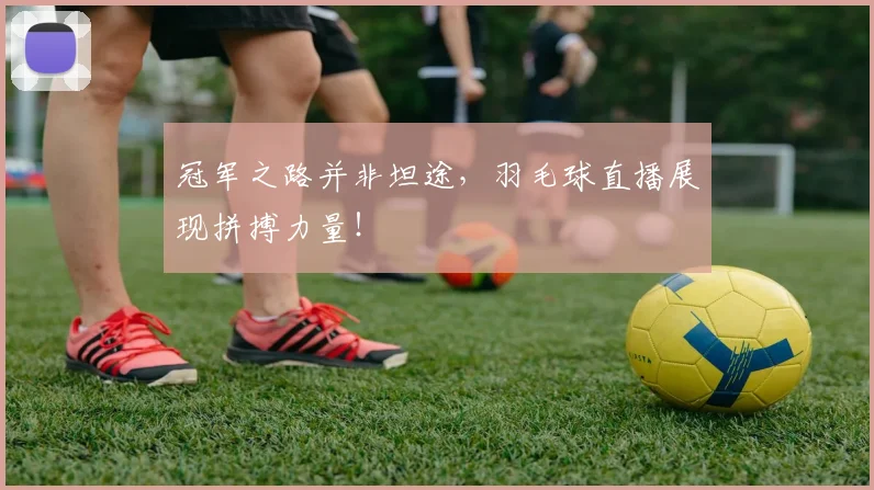 冠军之路并非坦途，羽毛球直播展现拼搏力量！